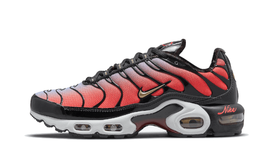 Nike Air Max Plus Sisterhood