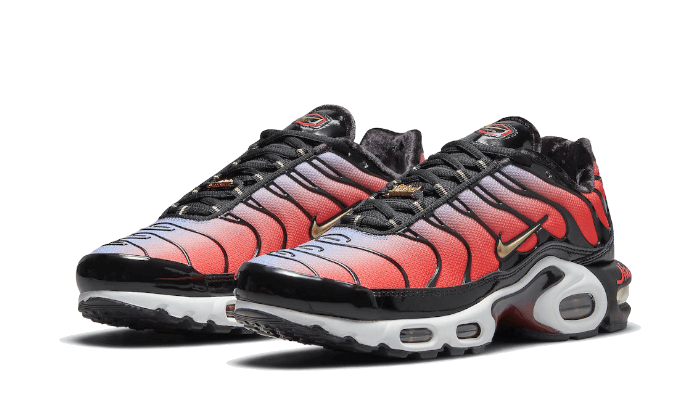 Nike Air Max Plus Sisterhood