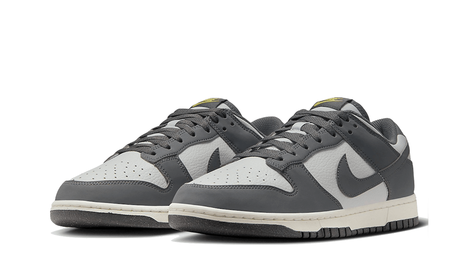 Nike Dunk Low Next Nature Iron Grey Lightning