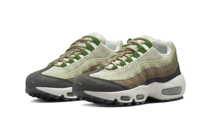 Nike Air Max 95 Earth Day