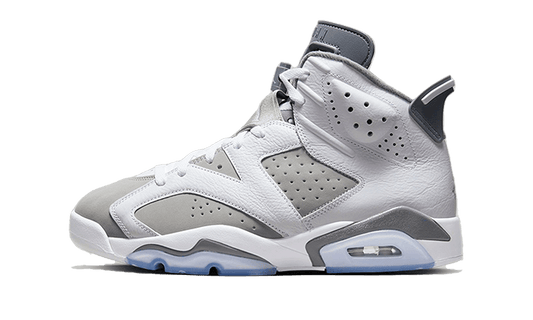 Air Jordan 6 Cool Grey