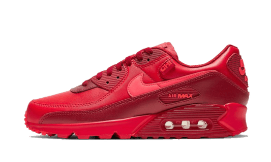 Nike Air Max 90 Chi-City Special