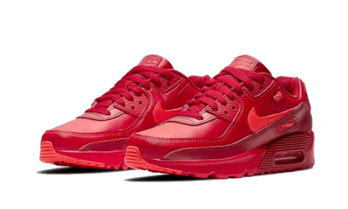 Nike Air Max 90 Chi-City Special