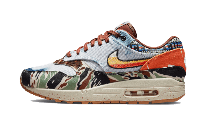 Nike Air Max 1 SP Concepts Heavy