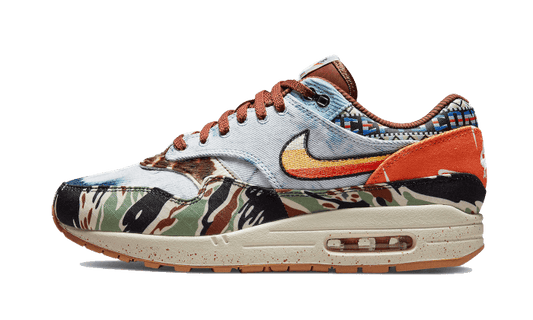 Nike Air Max 1 SP Concepts Heavy