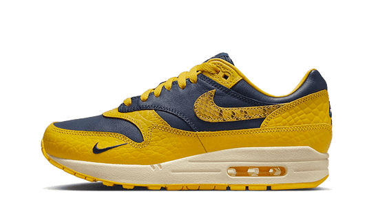 Nike Air Max 1 CO.JP Michigan