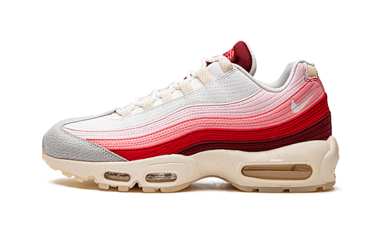 Nike Air Max 95 Anatomy of Air