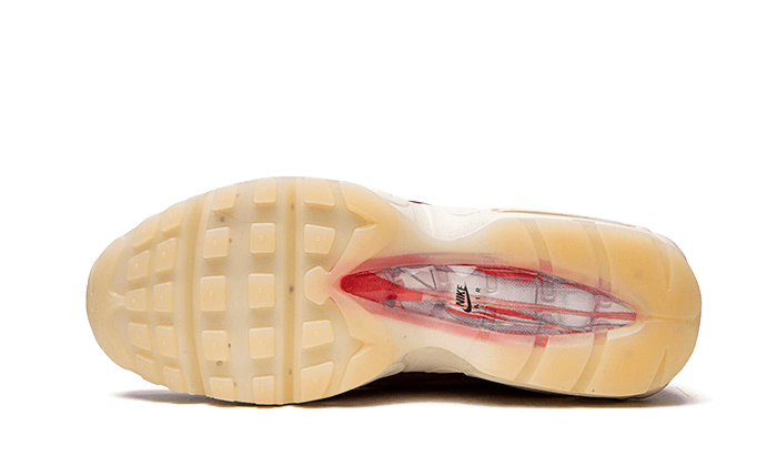 Nike Air Max 95 Anatomy of Air