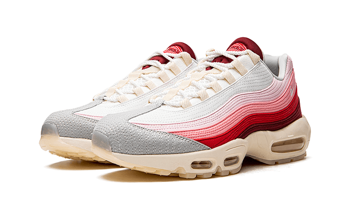 Nike Air Max 95 Anatomy of Air