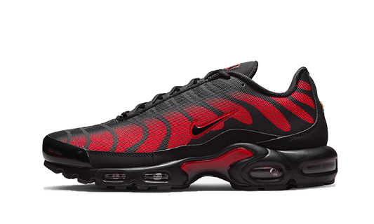 Nike Air Max Plus Bred Reflective