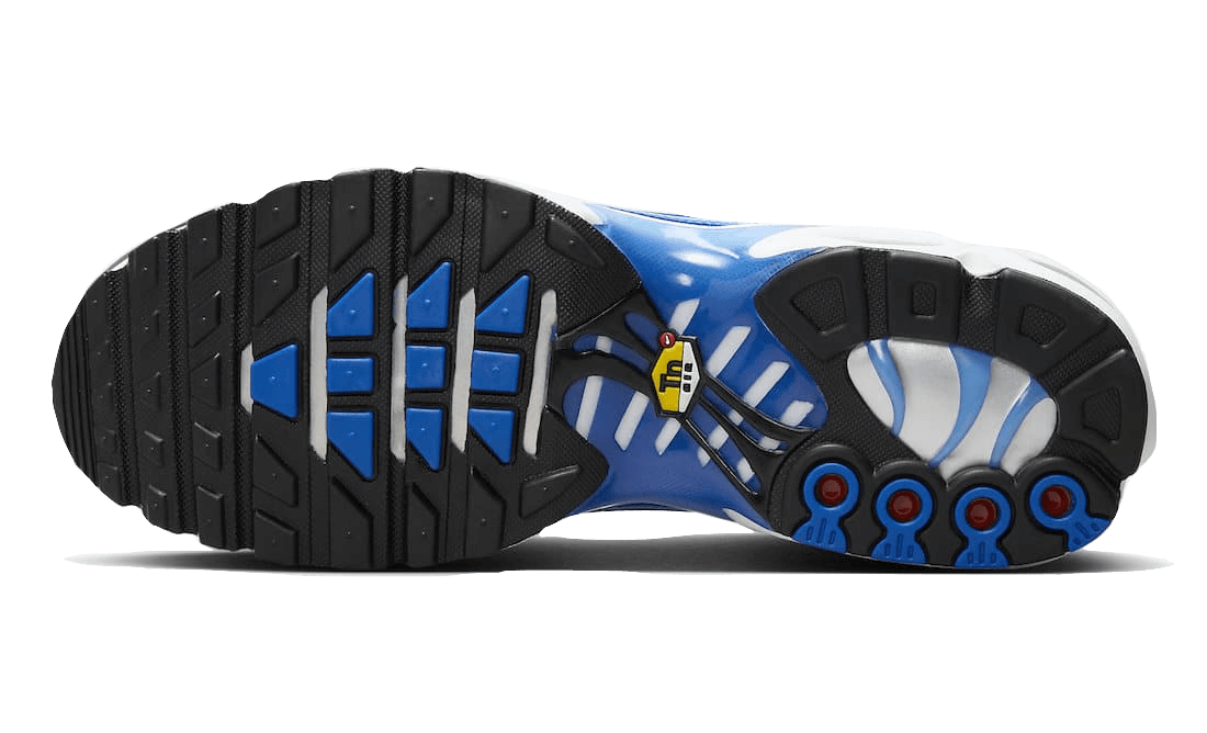 Nike Air Max Plus Light Photography Old Royal